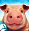 PigSimulator(����ģ����֮����һ��)
