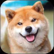 Akita Dog Simulator(����Ȯģ����)