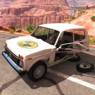Car Crash Test NIVA(�����¹�ģ��3D�ٷ���)