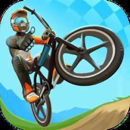 Mad Skills BMX 2(������г�ԽҰ��2)