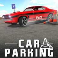 ���ͣ����ģ���ʻ(Real Car Parker)