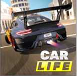 Car Life(�������������)