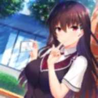 ��������Ů��ģ��3d(Anime high school simulator)