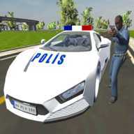 Real Police Car Game(��������2021)
