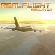 RealFlight(�����ķ���ģ����2021)