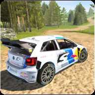 Project Car Rally(��������������)