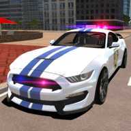 R8 Police Car Driving(R8����ģ�����ֻ�������)