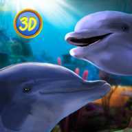 Dolphin Family(�ռ�����ģ����)