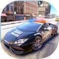 ��������Ѳ�߳�Super Police Car Driving Games