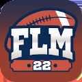 �����Ų�����22(FLM22)