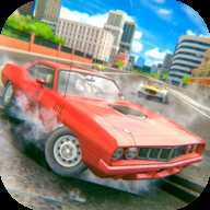 �ֵ�����ģ��(Drive Car Simulator)
