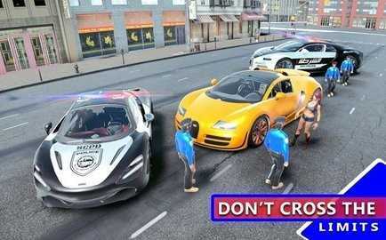��������Ѳ�߳�Super Police Car Driving Games