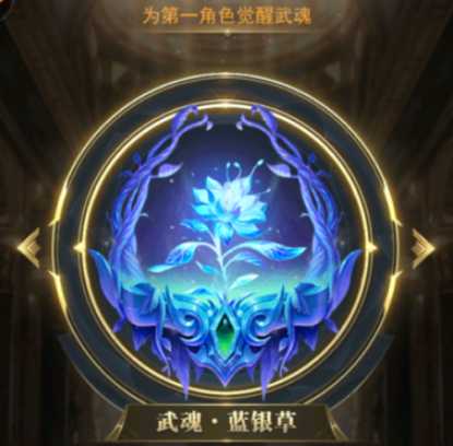���֮·