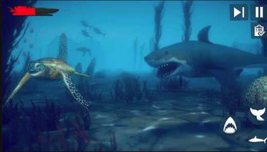 Angry Shark(��ŭ����ľ������)