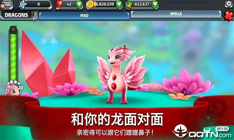 ��֮ѱ��ʦ