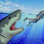 Angry Shark(��ŭ����ľ������)